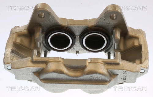 Brake Caliper (8175 13139)