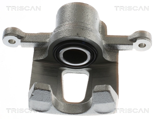 Brake Caliper (8175 21201)