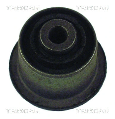Mounting, control/trailing arm (8500 29819)