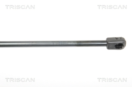 Gas Spring, boot/cargo area