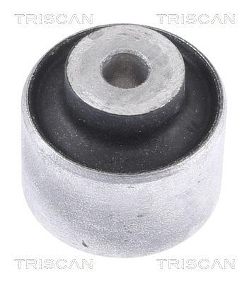 Mounting, control/trailing arm (8500 298056)