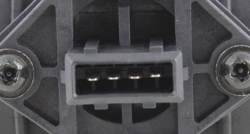Mass Air Flow Sensor