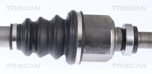 Drive Shaft