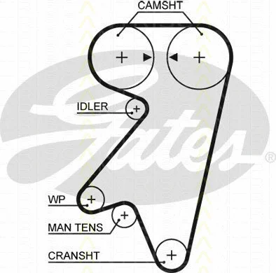 Timing Belt (8645 5191)