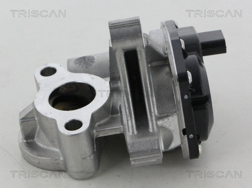 EGR Valve (8813 25041)