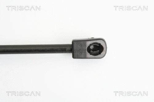 Gas Spring, boot/cargo area