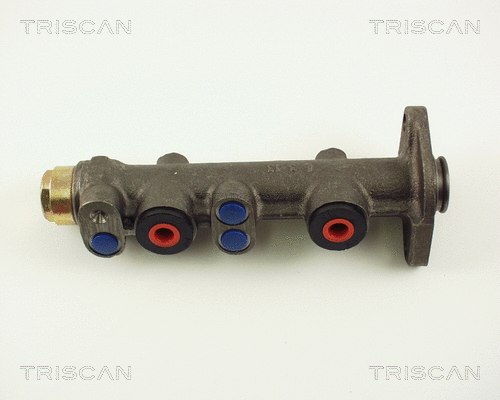 Brake Master Cylinder (8130 15102)