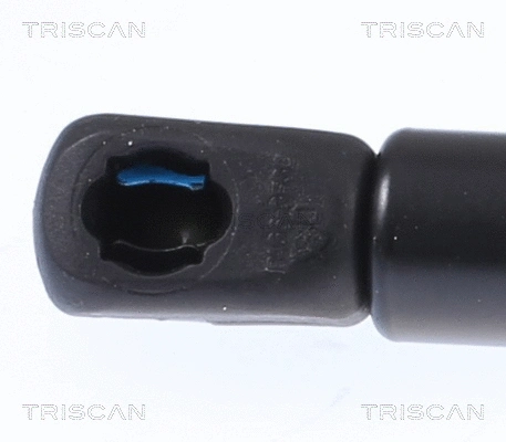 Gas Spring, boot/cargo area