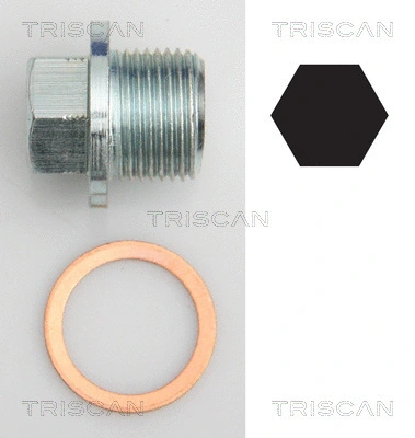 Screw Plug, oil sump (9500 1022)