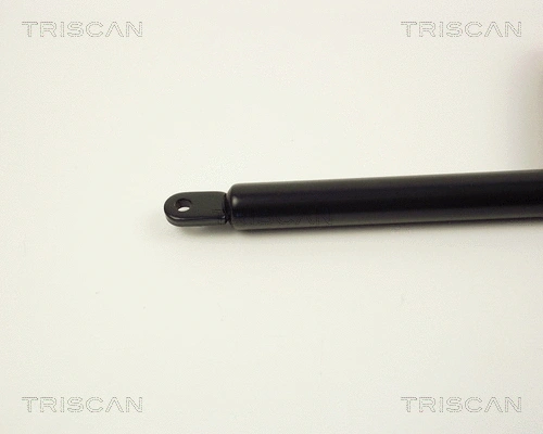 Gas Spring, bonnet