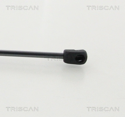 Gas Spring, bonnet