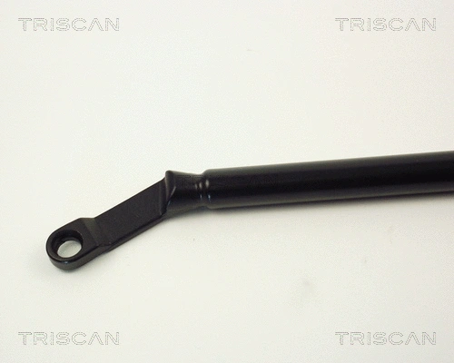 Gas Spring, boot/cargo area