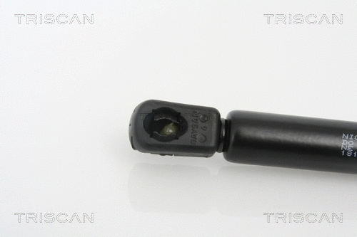 Gas Spring, bonnet