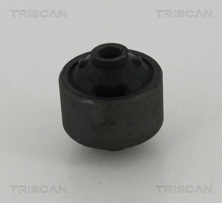 Mounting, control/trailing arm (8500 13849)