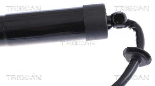 Gas Spring, boot/cargo area