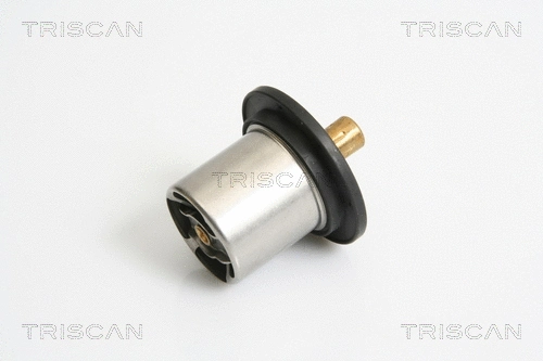 Thermostat, coolant (8620 10480)