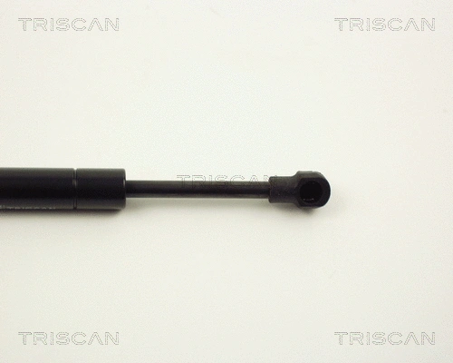 Gas Spring, boot/cargo area