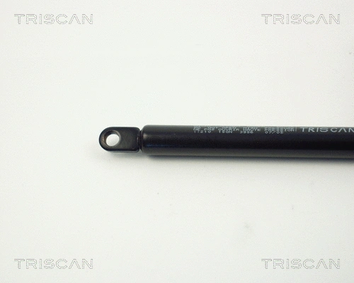 Gas Spring, boot/cargo area