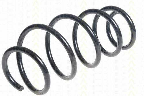 Suspension Spring (8750 28244)