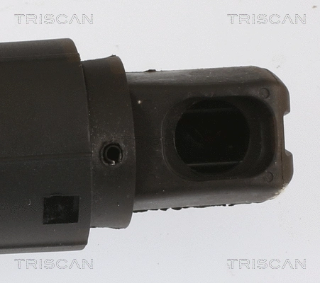 Gas Spring, boot/cargo area