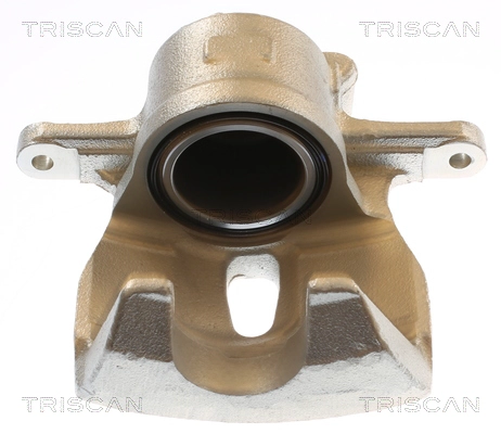 Brake Caliper (8175 13138)