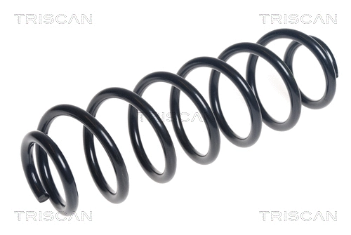 Suspension Spring (8750 29390)