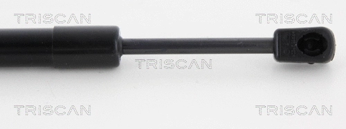 Gas Spring, boot/cargo area
