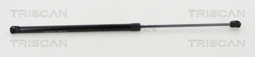 Gas Spring, boot/cargo area (8710 16264)