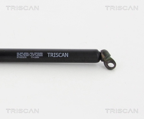 Gas Spring, boot/cargo area