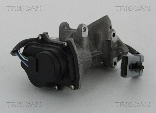 EGR Valve (8813 17019)