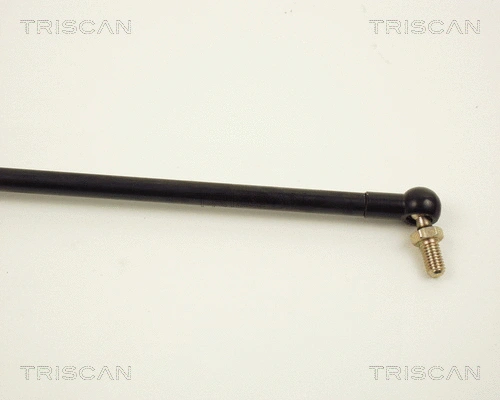Gas Spring, boot/cargo area