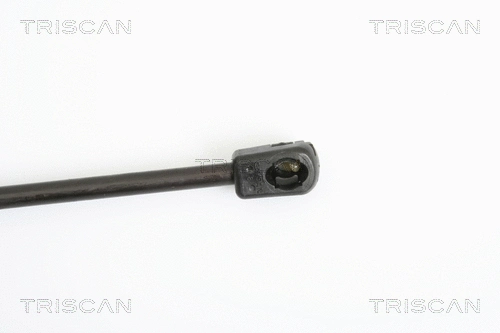 Gas Spring, boot/cargo area