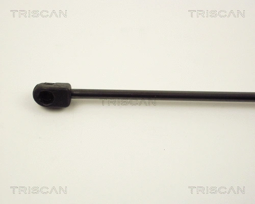 Gas Spring, boot/cargo area