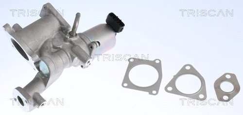 EGR Valve