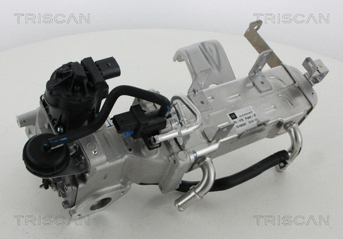EGR Valve (8813 21010)