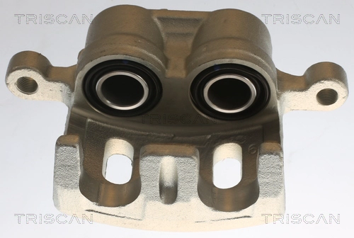 Brake Caliper (8175 10101)