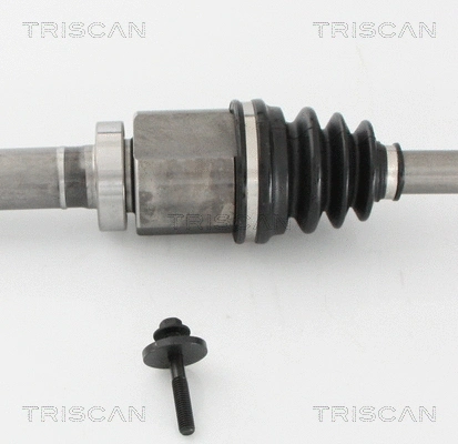 Drive Shaft