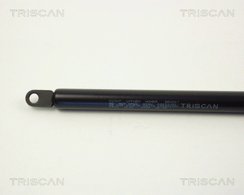 Gas Spring, boot/cargo area
