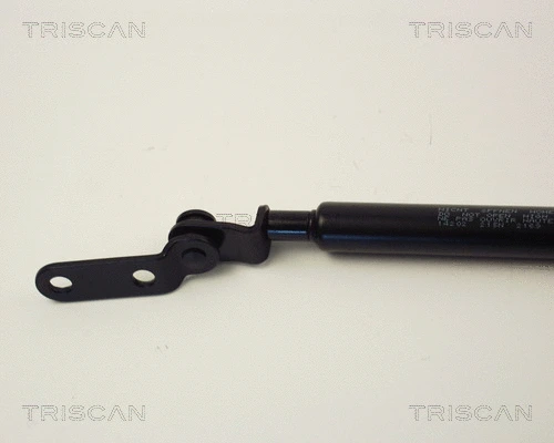 Gas Spring, boot/cargo area