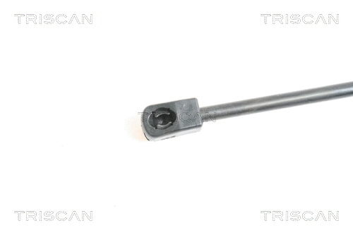 Gas Spring, boot/cargo area