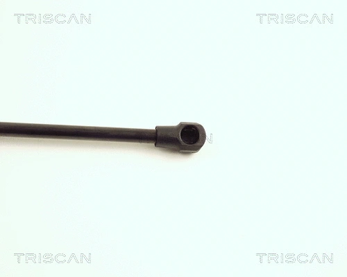 Gas Spring, boot/cargo area