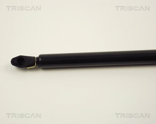 Gas Spring, boot/cargo area