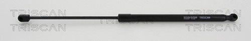 Gas Spring, boot/cargo area