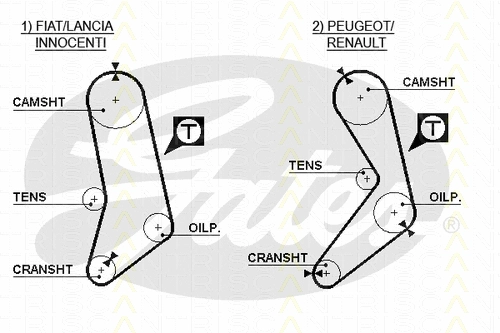 Timing Belt