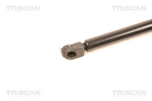 Gas Spring, boot/cargo area