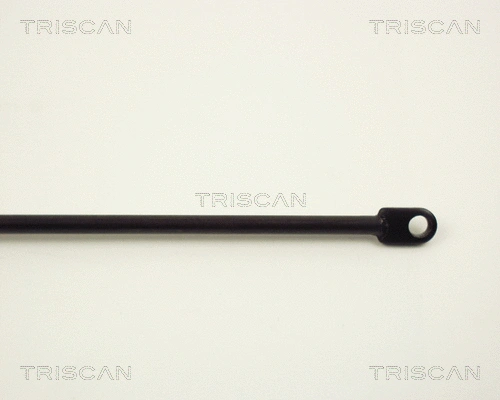 Gas Spring, boot/cargo area