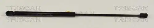 Gas Spring, boot/cargo area (8710 14228)