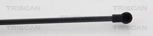 Gas Spring, boot/cargo area