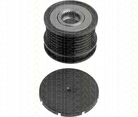 Alternator Freewheel Clutch (8641 234004)