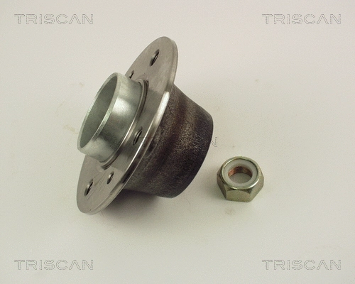 Wheel Bearing Kit (8530 25209)